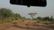 bezdroża etiopskie, w drodze do Doliny Omo