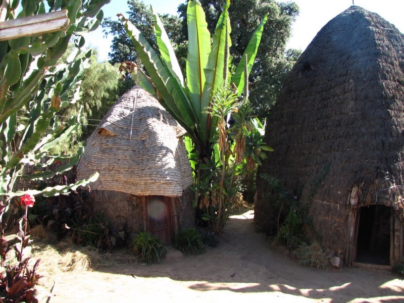 domy w kształcie słonia w plemieniu Dorze