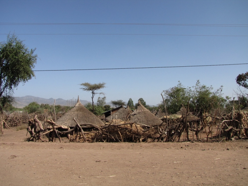 wioseczki etiopskie