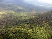 awionetką nad Salto de Angel - widok na dżunglę 
